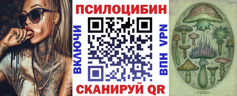Псилоцибиновые грибы мицелий  Купить  Ногинск 